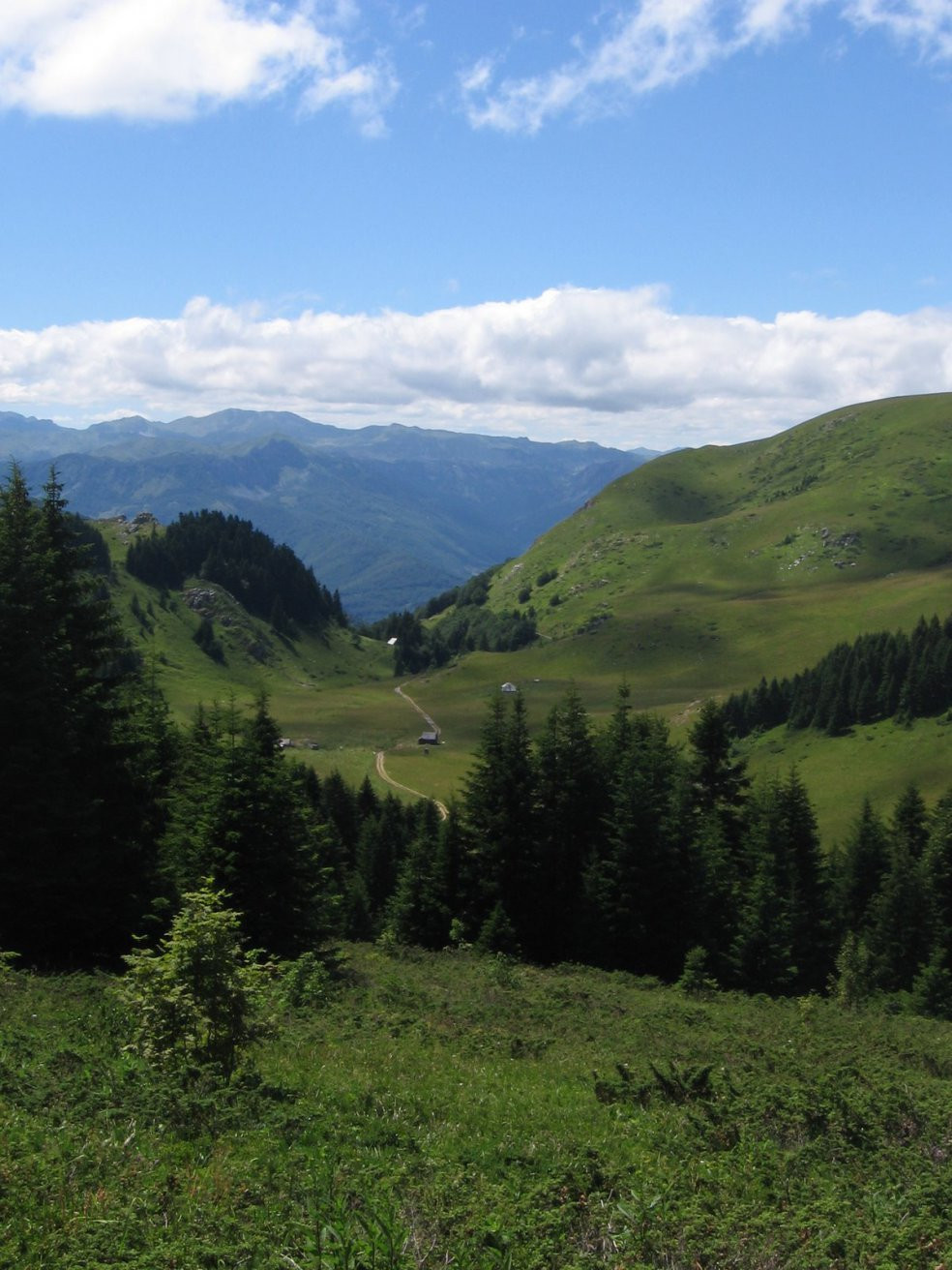 Национальный парк, Черногория. Фото 18 – фотографии Черногории