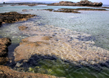 Фамагуста, Северный Кипр, Кипр, фото № 37831 – фотографии Кипра