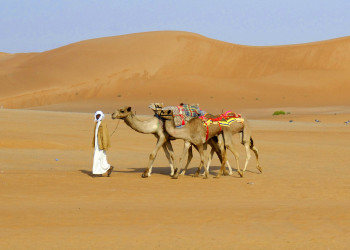 ОАЭ, фото № 1569 – фотографии ОАЭ