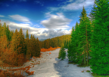 Природа в Пампорово, Болгария. Фото 23 – фотографии Болгарии