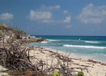 Косумель остров, Мексика, фото № 43901 – фотографии Мексики