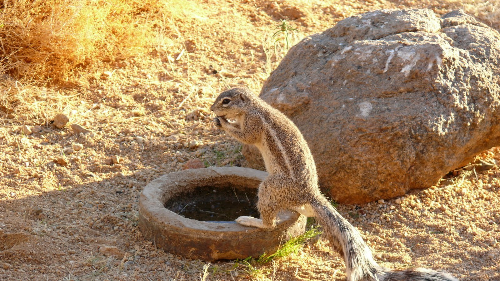 Намибия, фото № 5571 – фотографии Намибии