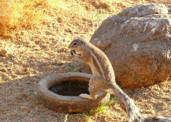 Намибия, фото № 5571 – фотографии Намибии