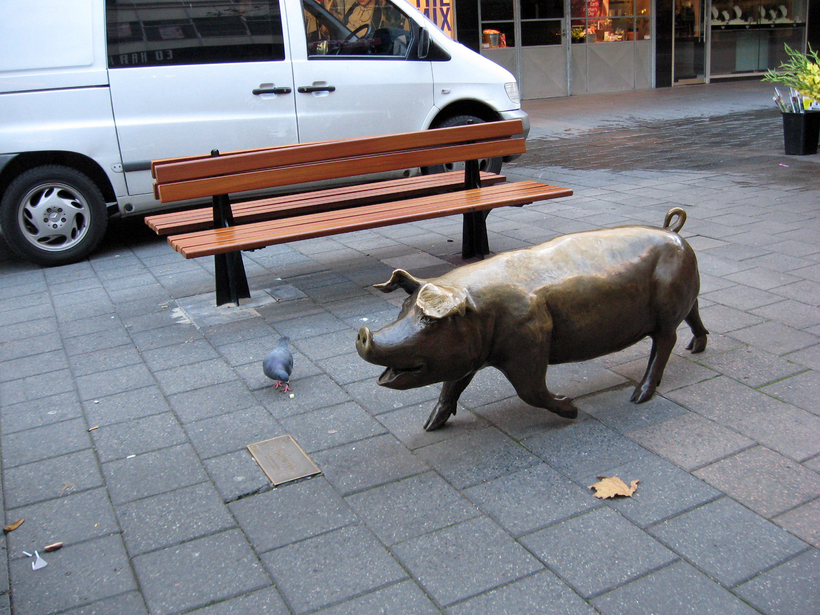 Аделаида (Adelaide). Фото 8 – фотографии Австралии