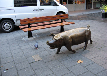 Аделаида (Adelaide). Фото 8 – фотографии Австралии