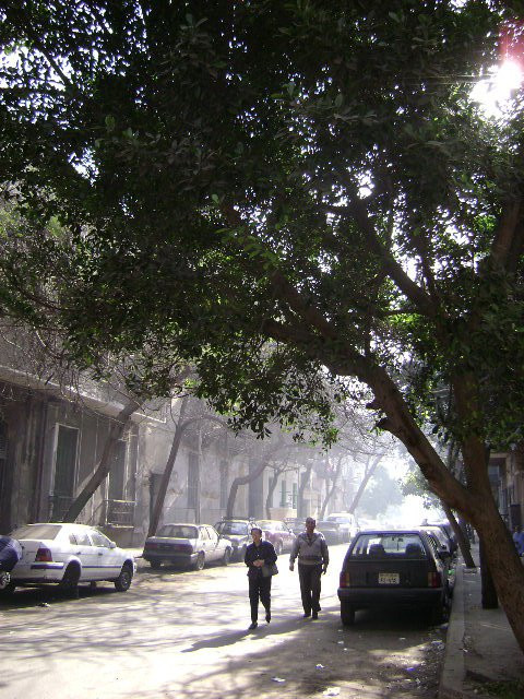 Каир, Египет, фото № 35125 – фотографии Египта