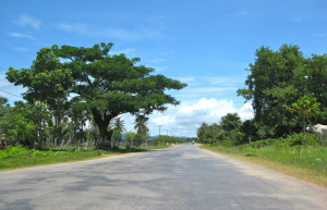 Дорога в Кепе, Камбоджа – фотографии Камбоджи