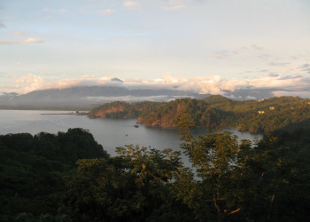 Мануэль Антонио, Пунтаренас провинция, Коста-Рика, фото № 40615 – фотографии Коста-Рики