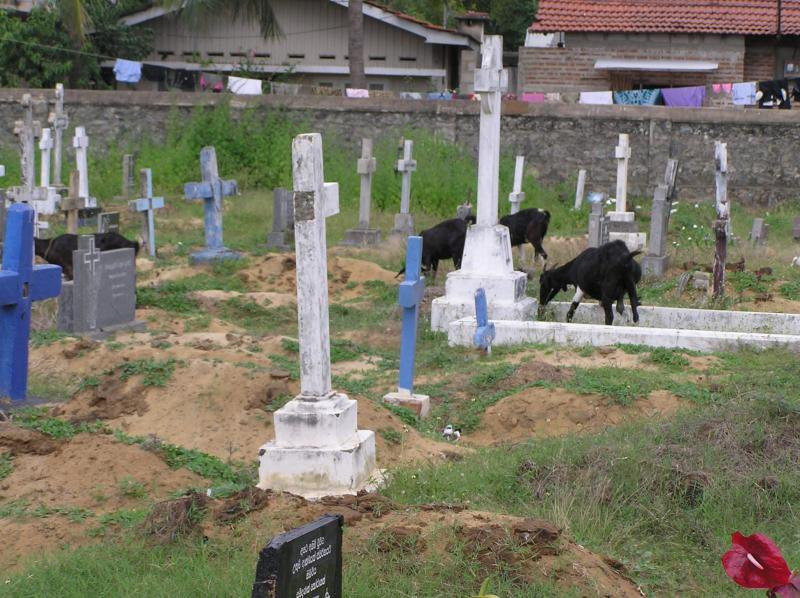 Негомбо, Шри-Ланка, фото № 51893 – фотографии Шри-Ланки