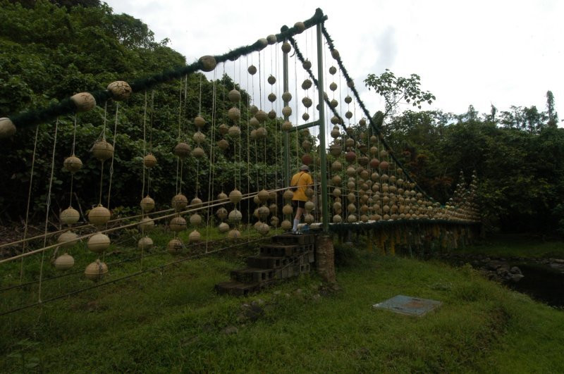 о.Кокос, Пунтаренас провинция, Коста-Рика, фото № 40860 – фотографии Коста-Рики