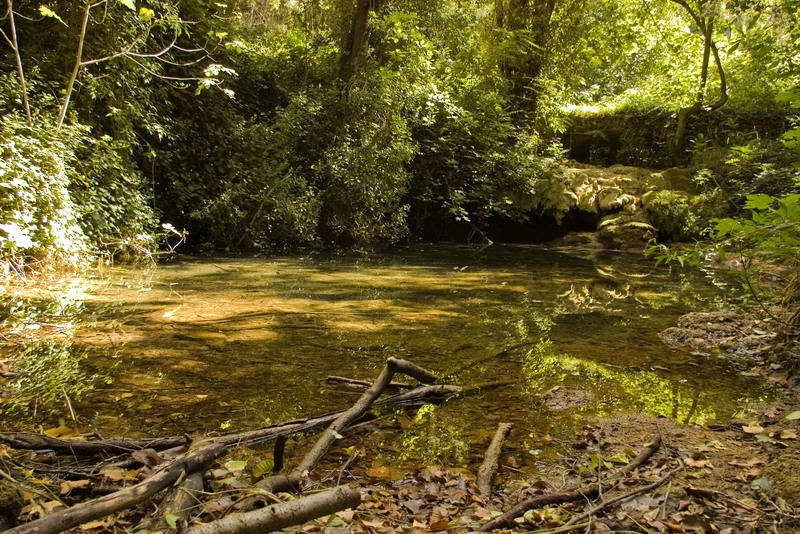 Природа в Крка, Хорватия. Фото 11 – фотографии Хорватии