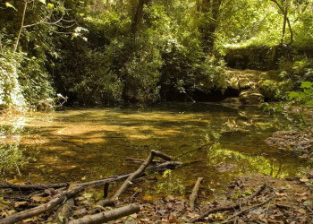 Природа в Крка, Хорватия. Фото 11 – фотографии Хорватии