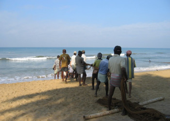Ваддува, Шри-Ланка, фото № 50783 – фотографии Шри-Ланки