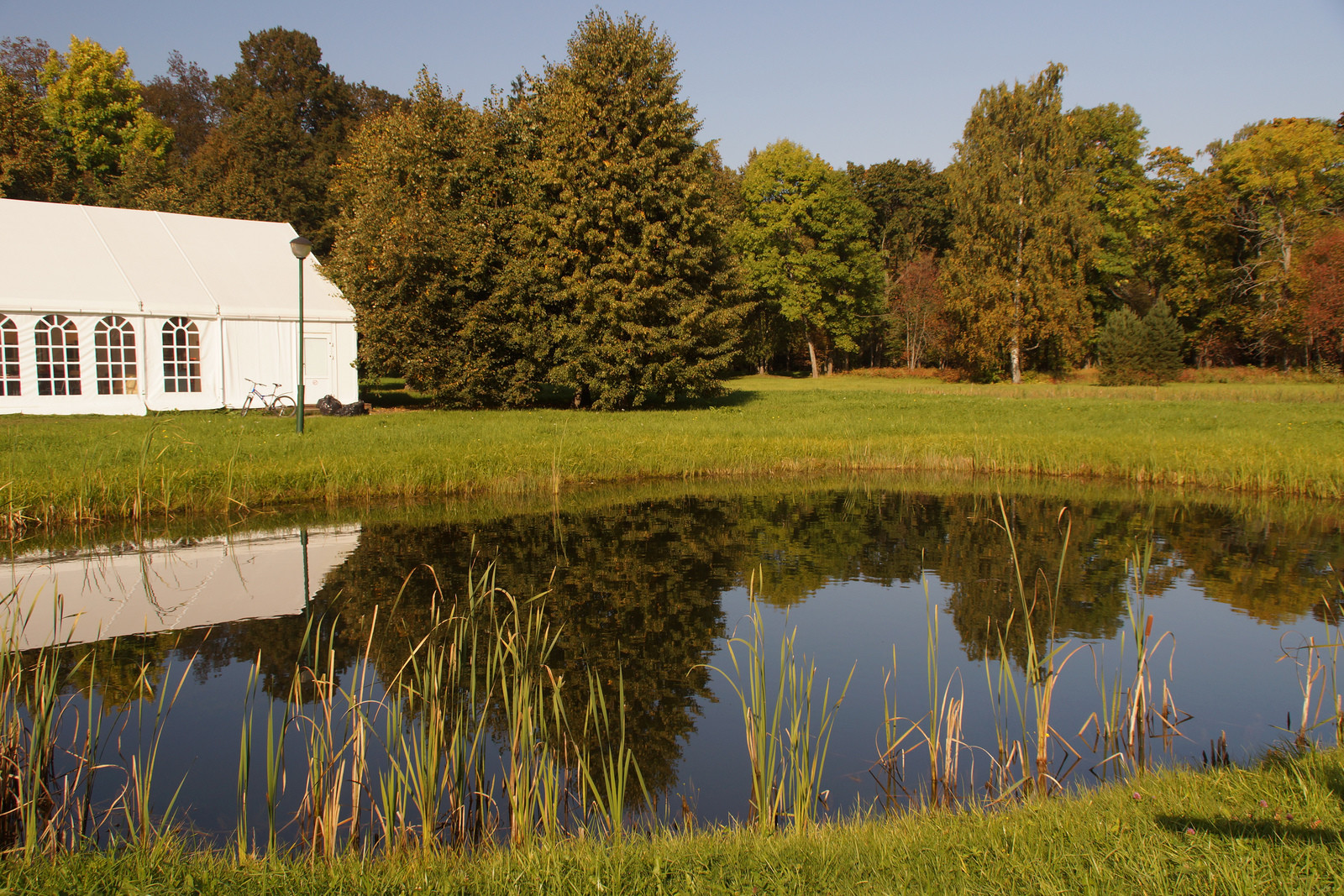 Дворцово-парковый комплекс Ораниенбаум. Фото 1 – фотографии России