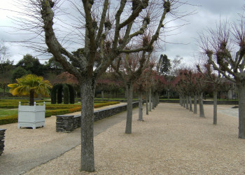 Парк в Анже, Франция. Фото 4 – фотографии Франции