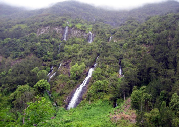 Салази, Реюньон, фото № 25815 – фотографии Реюньона