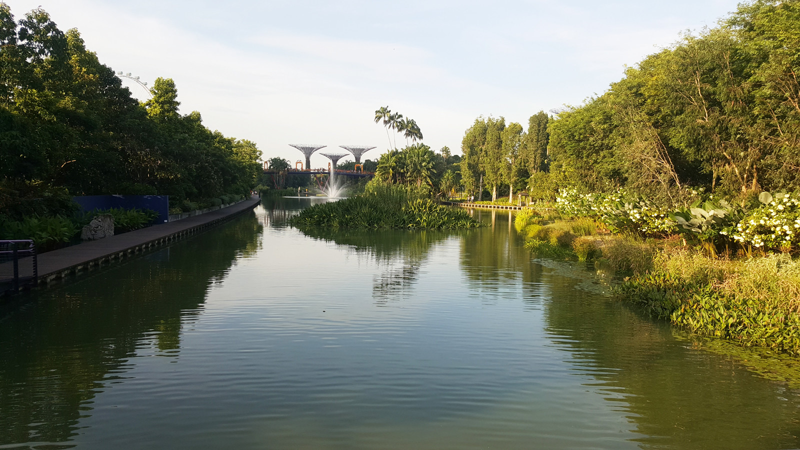 Сады у Залива (Gardens by the Bay) в Сингапуре. Фото 1 – фотографии Сингапура