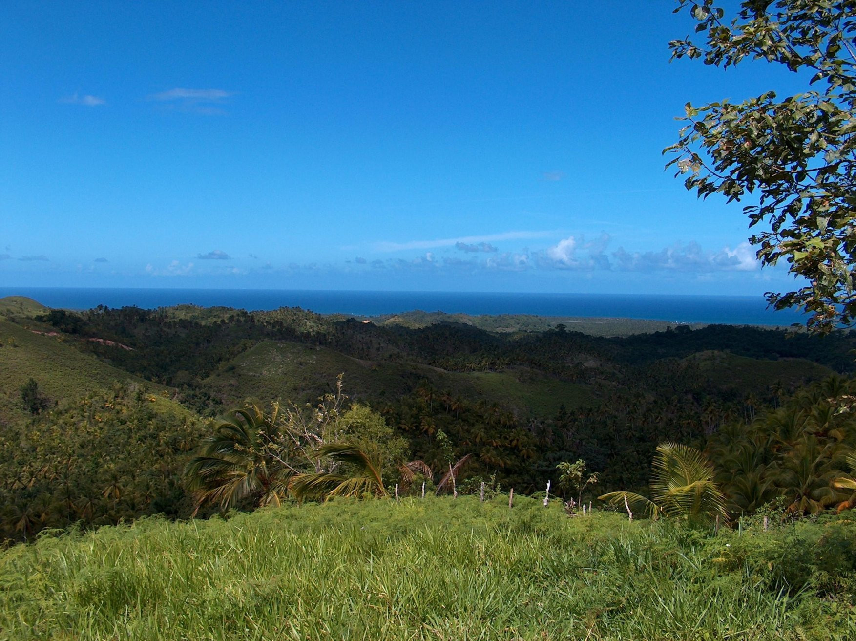 Самана, Доминикана, фото № 30642 – фотографии Доминиканы