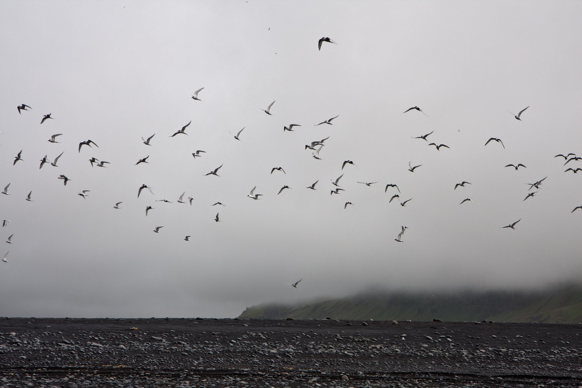 Исландия, фото № 4444 – фотографии Исландии