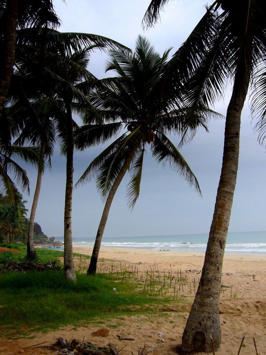 Коcгода, Шри-Ланка, фото № 51536 – фотографии Шри-Ланки
