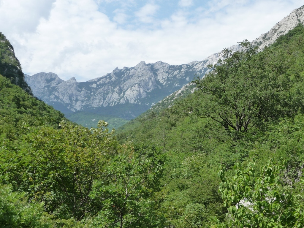 Природа Национального парка, Хорватия. Фото 6 – фотографии Хорватии