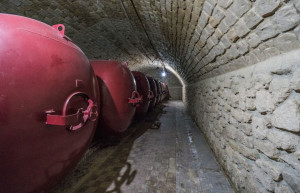 Замок Мими 12 – фотографии Молдовы