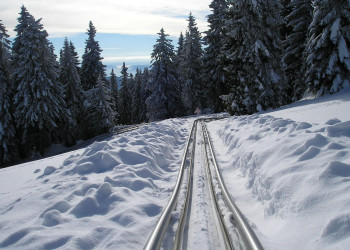 Рогла, Словения, фото № 57508 – фотографии Словении