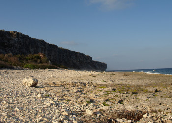 Южное побережье острова Кайман-Брак (Cayman Brac Island). фото 1 – фотографии Каймановых островов