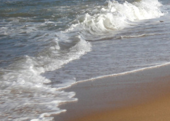 Шри-Ланка, фото № 1121 – фотографии Шри-Ланки