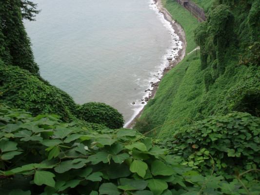 Зеленый мыс фото Зеленый мыс фото