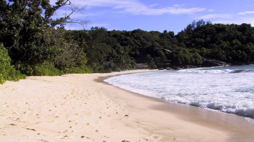 Пляж на острове Маэ, Сейшелы. Фото 1 – фотографии Сейшельских островов