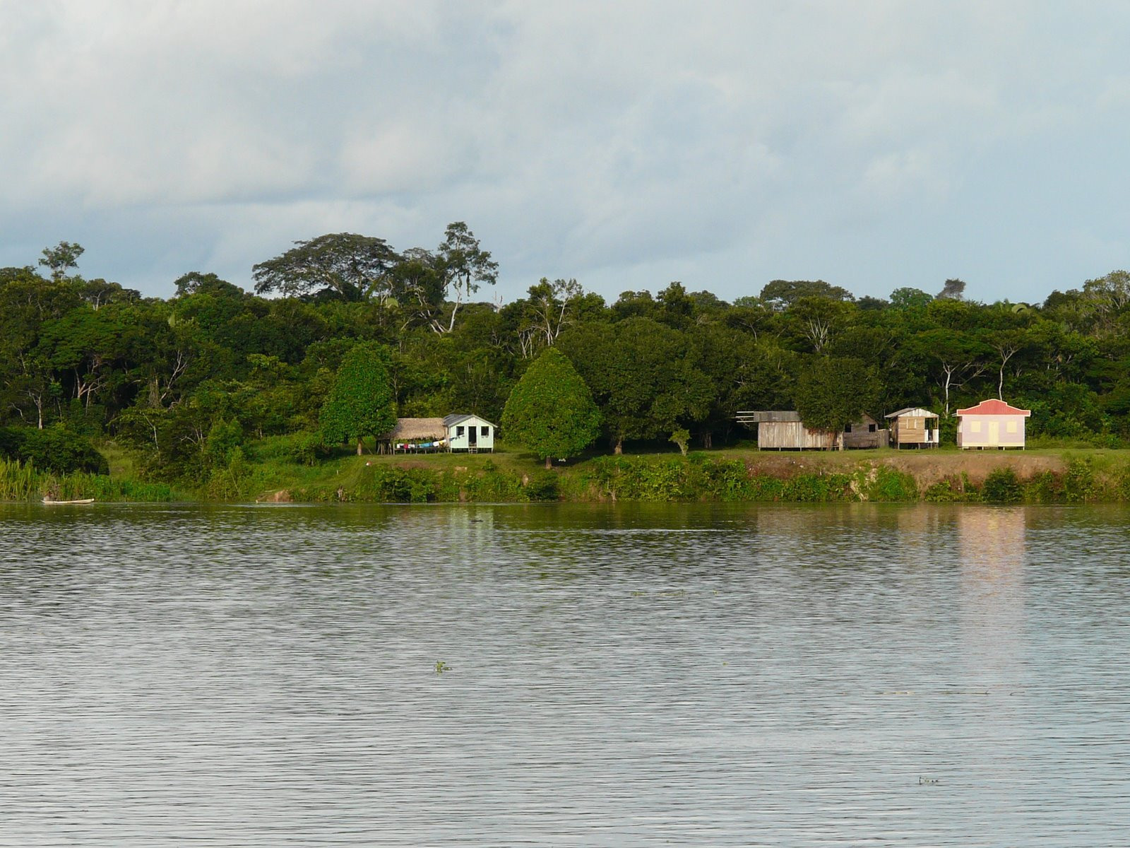 Амазонас штат, Бразилия, фото № 58803 – фотографии Бразилии