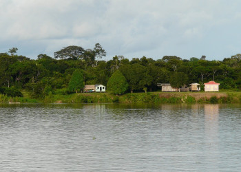 Амазонас штат, Бразилия, фото № 58803 – фотографии Бразилии