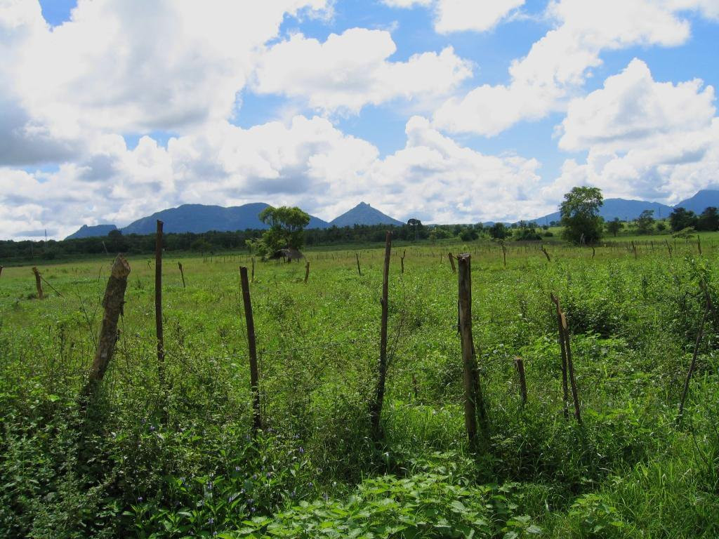 Дамбулла, Шри-Ланка, фото № 51044 – фотографии Шри-Ланки