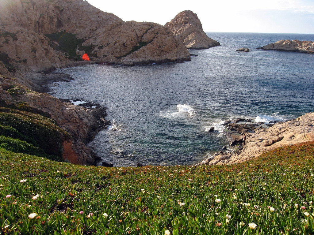 Берега в Иль-Русса, Франция. Фото 5 – фотографии Франции