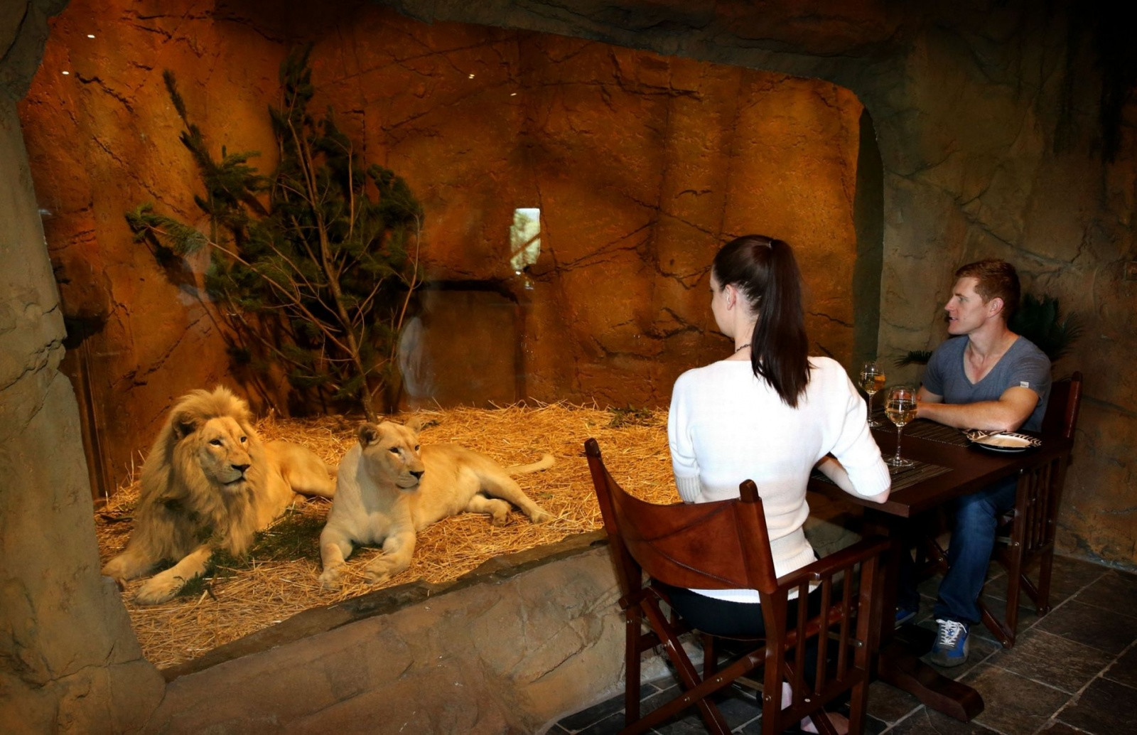 Отель-зоопарк Jamala Wildlife Lodge в Австралии. Фото 8 – фотографии Австралии