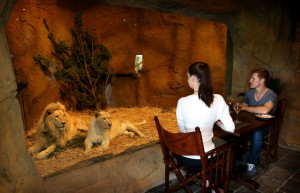 Отель-зоопарк Jamala Wildlife Lodge в Австралии. Фото 8 – фотографии Австралии