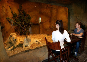 Отель-зоопарк Jamala Wildlife Lodge в Австралии. Фото 8 – фотографии Австралии