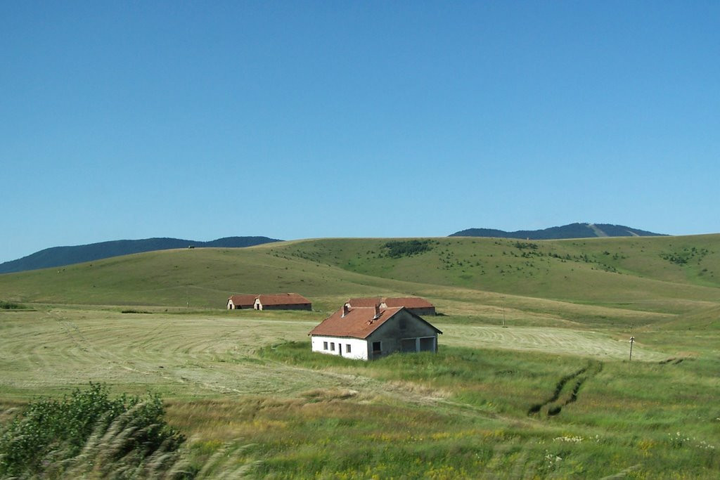 Поле в Черногория. Фото 3 – фотографии Черногории