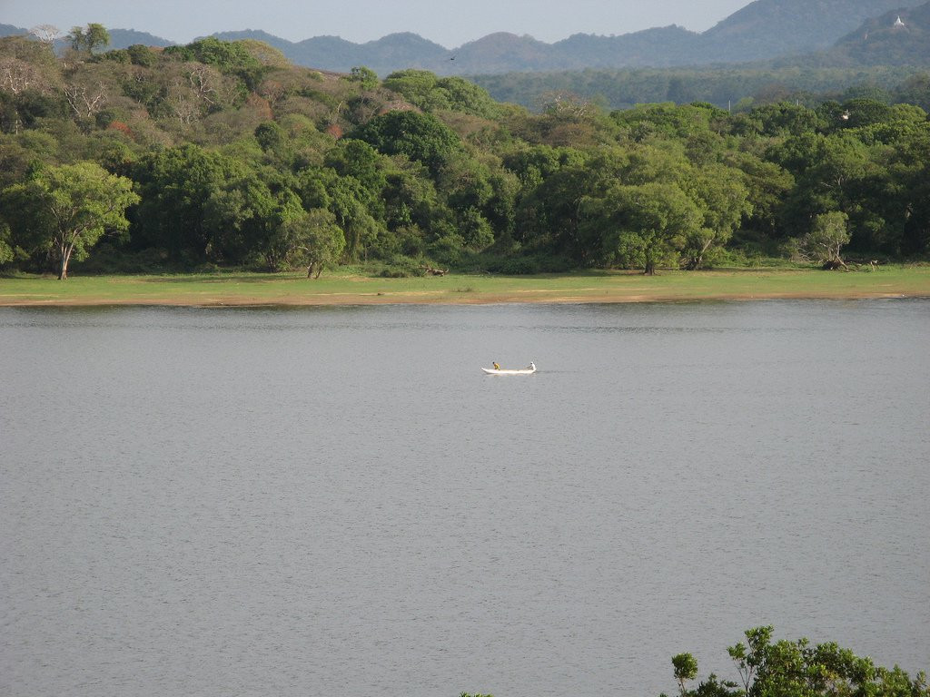 Кандалама, Шри-Ланка, фото № 51271 – фотографии Шри-Ланки