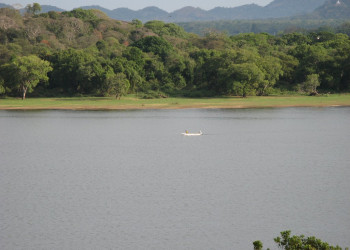Кандалама, Шри-Ланка, фото № 51271 – фотографии Шри-Ланки