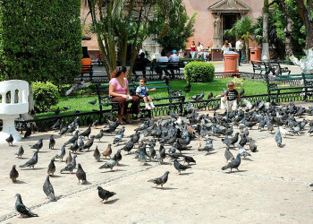 Мерида, Мексика, фото № 43709 – фотографии Мексики