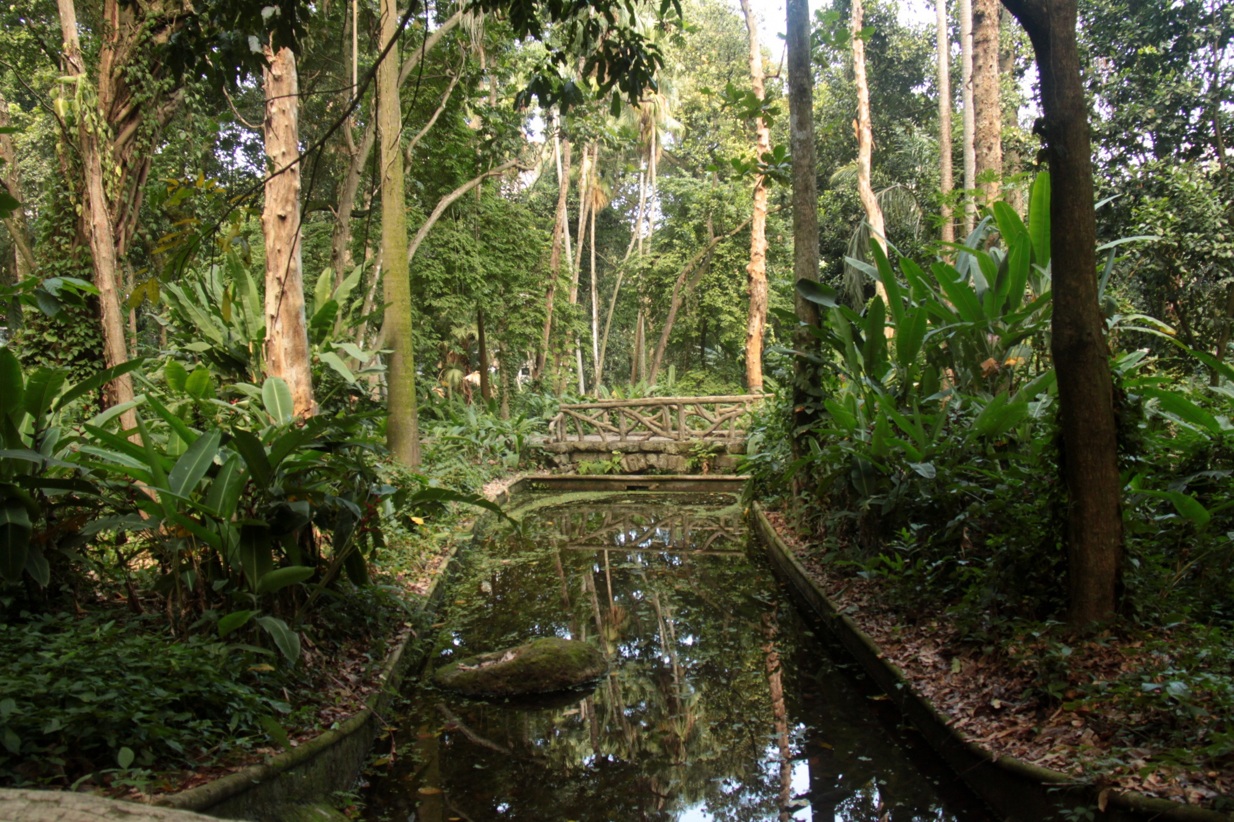 Парк Лаже (Parque Lage)  – фотографии Бразилии