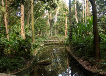 Парк Лаже (Parque Lage)  – фотографии Бразилии