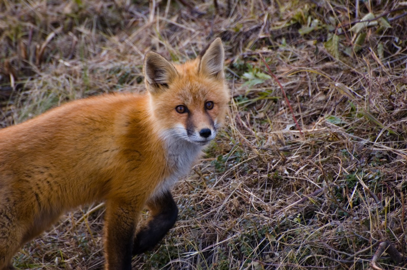 Аляска штат, США, фото № 67685 – фотографии США
