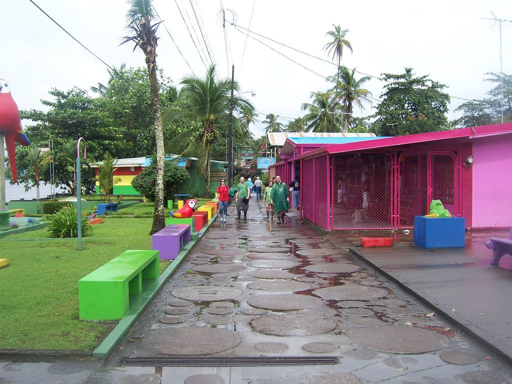 Тортугеро, Лимон провинция, Коста-Рика, фото № 40295 – фотографии Коста-Рики