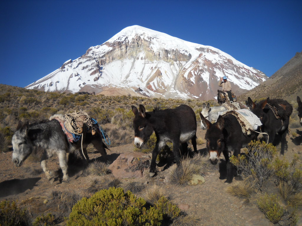 Национальный парк Сахама – фотографии Боливии