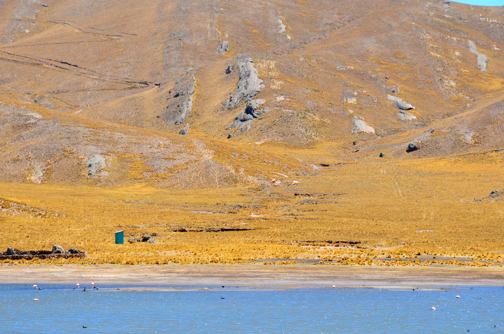 Заповедник Салинас и Агуада-Бланка – фотографии Перу