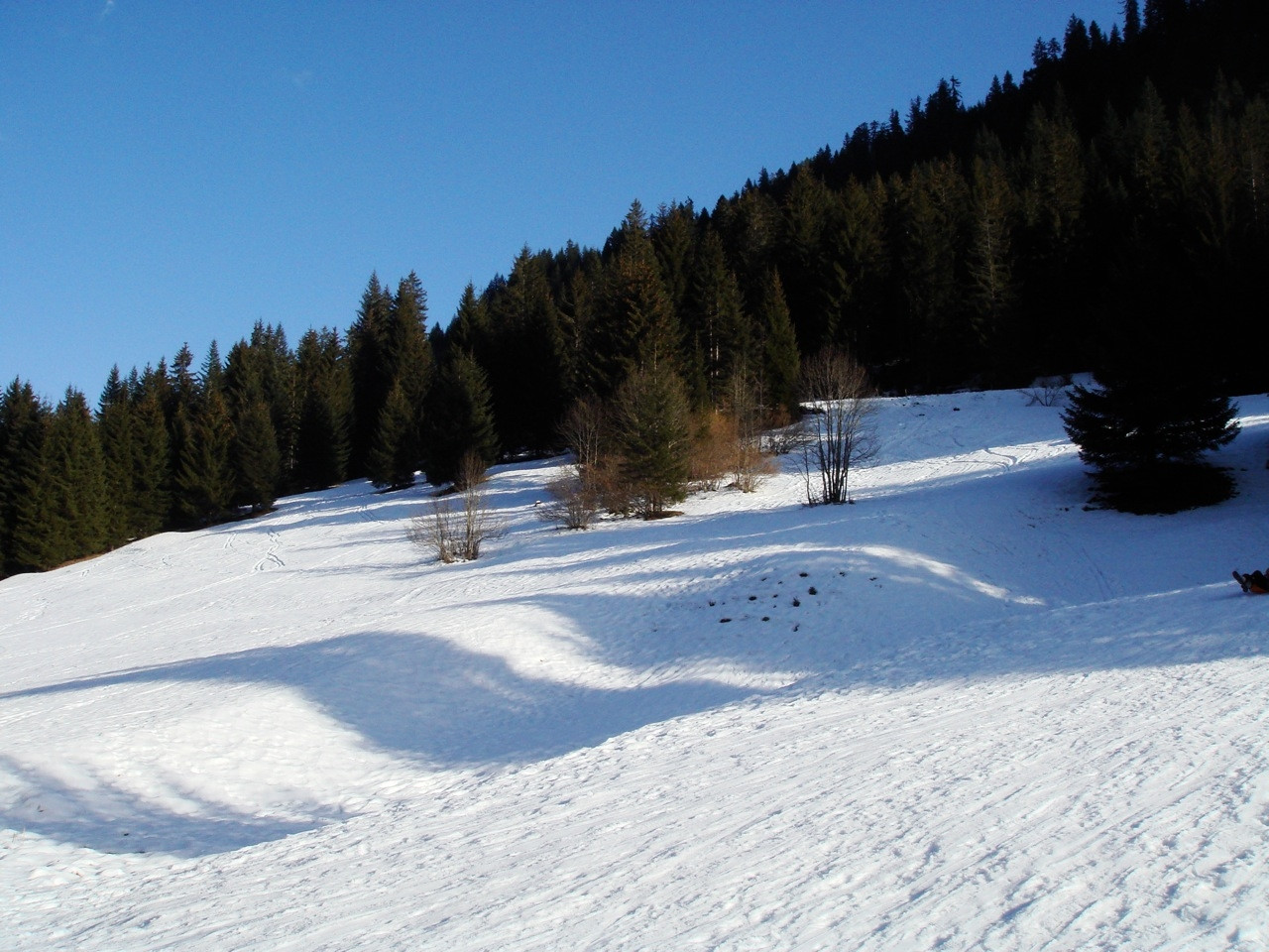 Природа в Шатель, Франция. Фото 6 – фотографии Франции