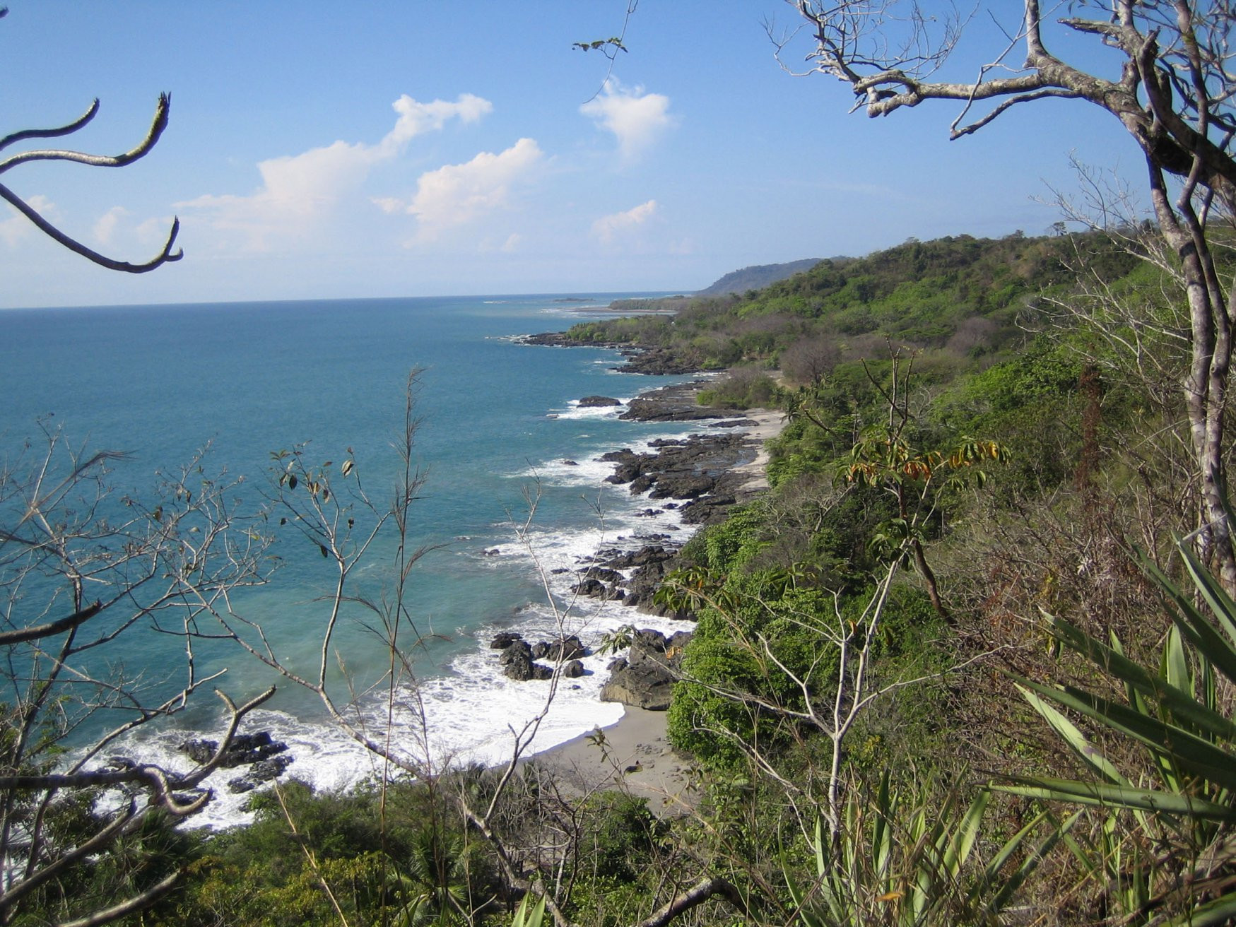 Монтезума, Пунтаренас провинция, Коста-Рика, фото № 40780 – фотографии Коста-Рики